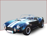 Car covers (indoor, outdoor) for AC Cobra