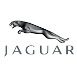 Jaguar [Other Jaguar]
